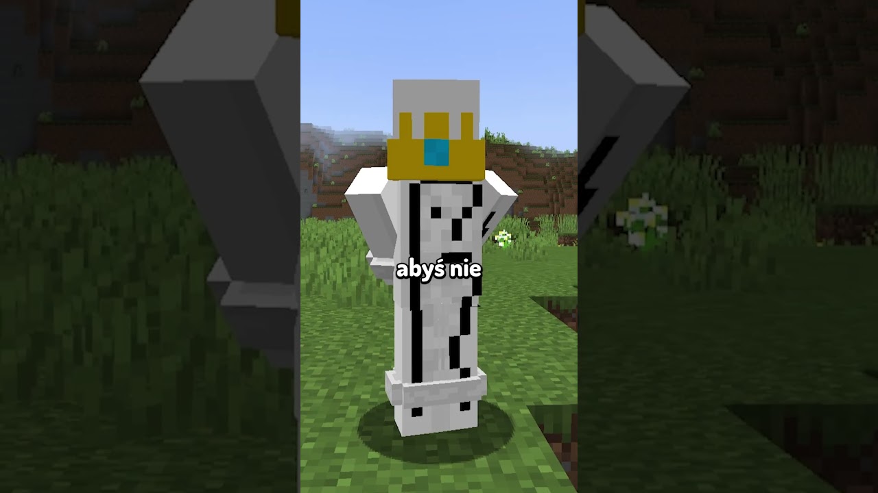 KAJDANKI W MINECRAFT