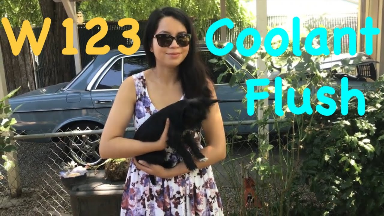 Coolant Flush W123