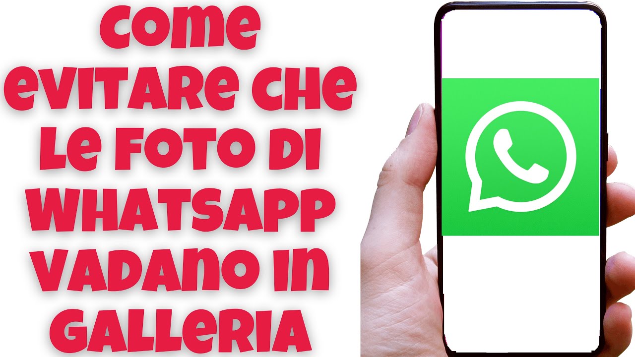 Come evitare che le foto di WhatsApp vadano in galleria