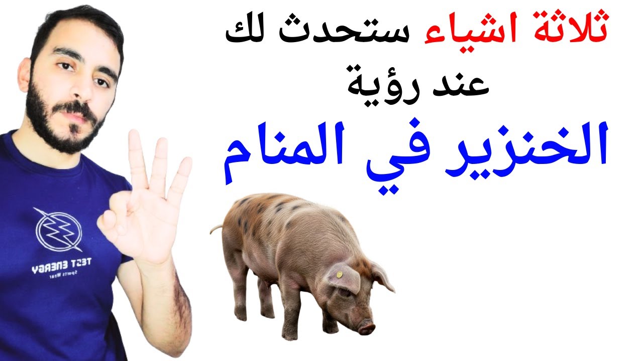 ثلاثة اشياء ستحدث لك إذا رأيت الخنزير في المنام l ـتفسير حلم رؤية الخنزير والخنازير في المنام