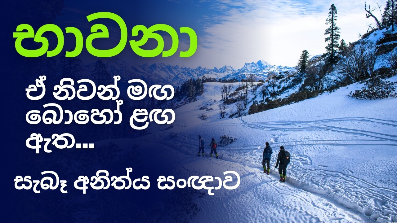 සැබෑ අනිත්‍ය සංඥාව 2026/02/08.භාවනා
