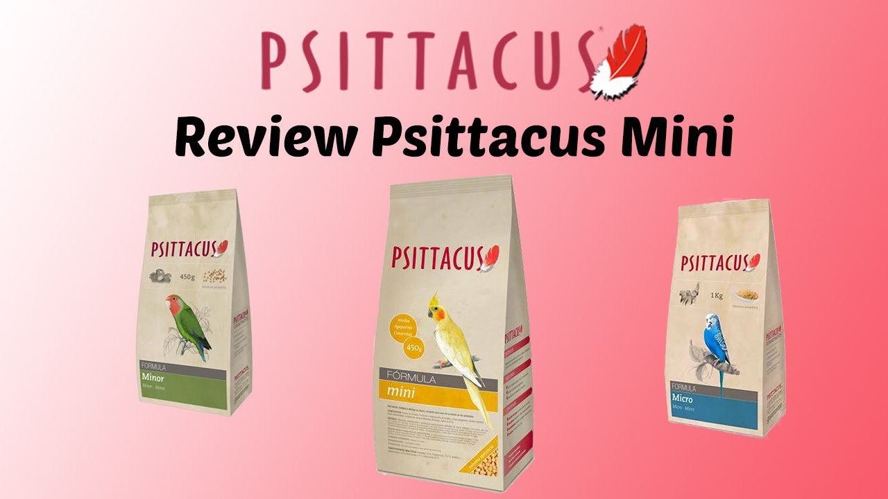 Review Psittacus mini pienso - Aviario Diario