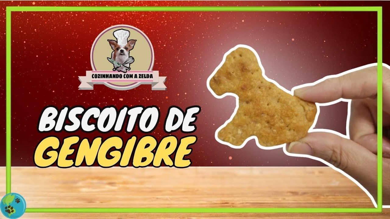 Biscoito de gengibre e maçã para cachorro