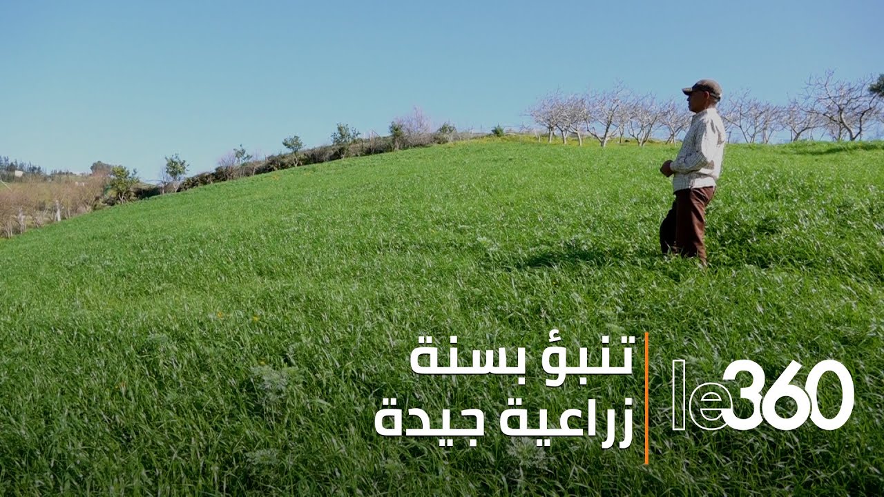 التساقطات المطرية تفرح فلاحي منطقة العرجات 