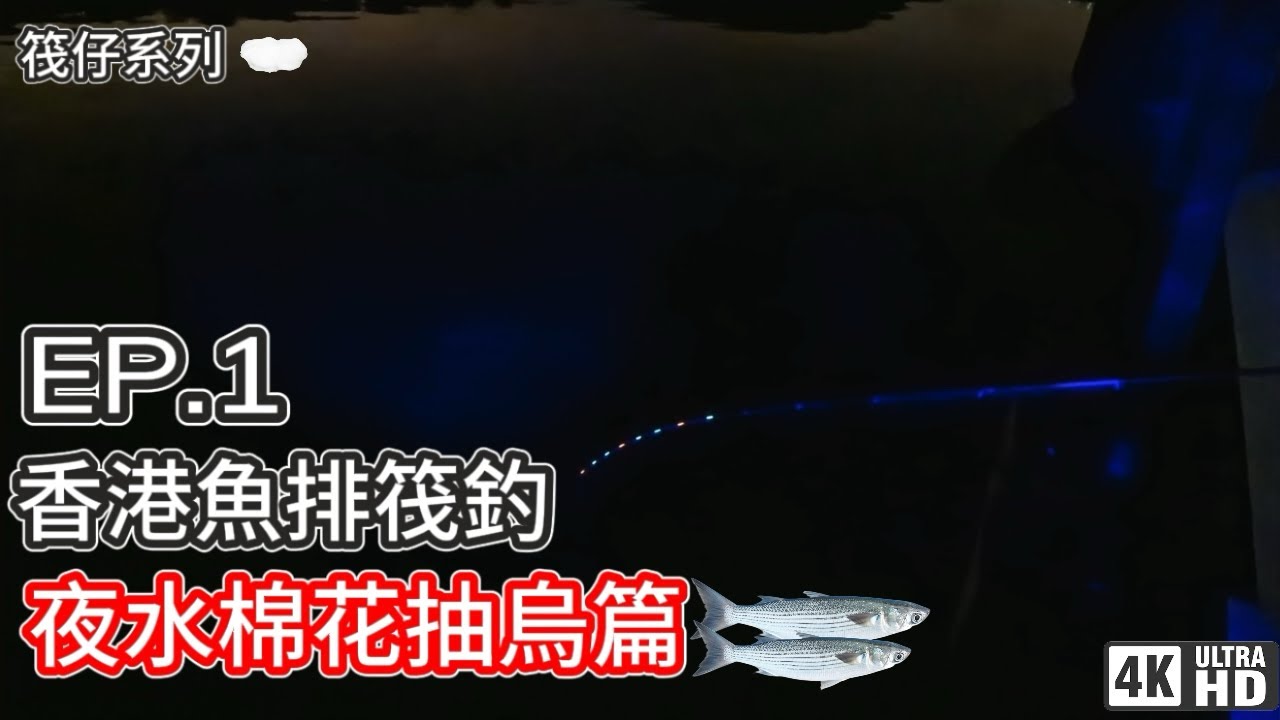【筏仔系列】香港魚排筏釣 #1｜三門仔｜烏頭｜夜水棉花抽烏篇，一粒棉花走天涯｜4K｜奸仔