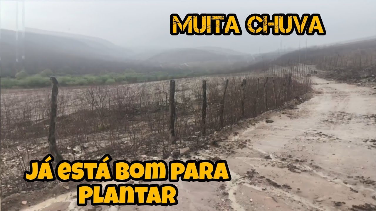 MUITA CHUVA 🌧️ CAINDO NA PARAÍBA 08/02/2026 