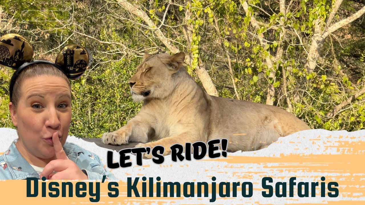 Поездка целиком! Сафари на Килиманджаро в Disney’s Animal Kingdom | Вид от первого лица во время ...