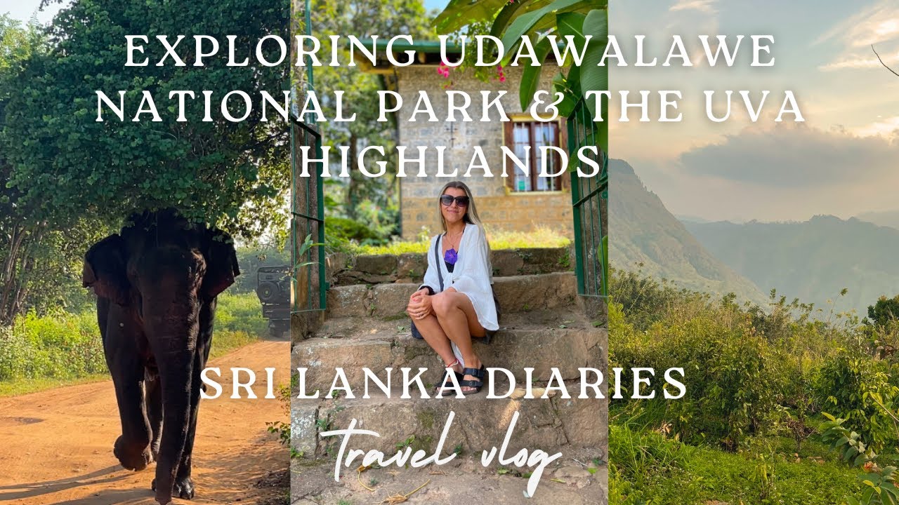 Udawalawe Safari & The Uva Highlands Vlog | Sri Lanka Diaries