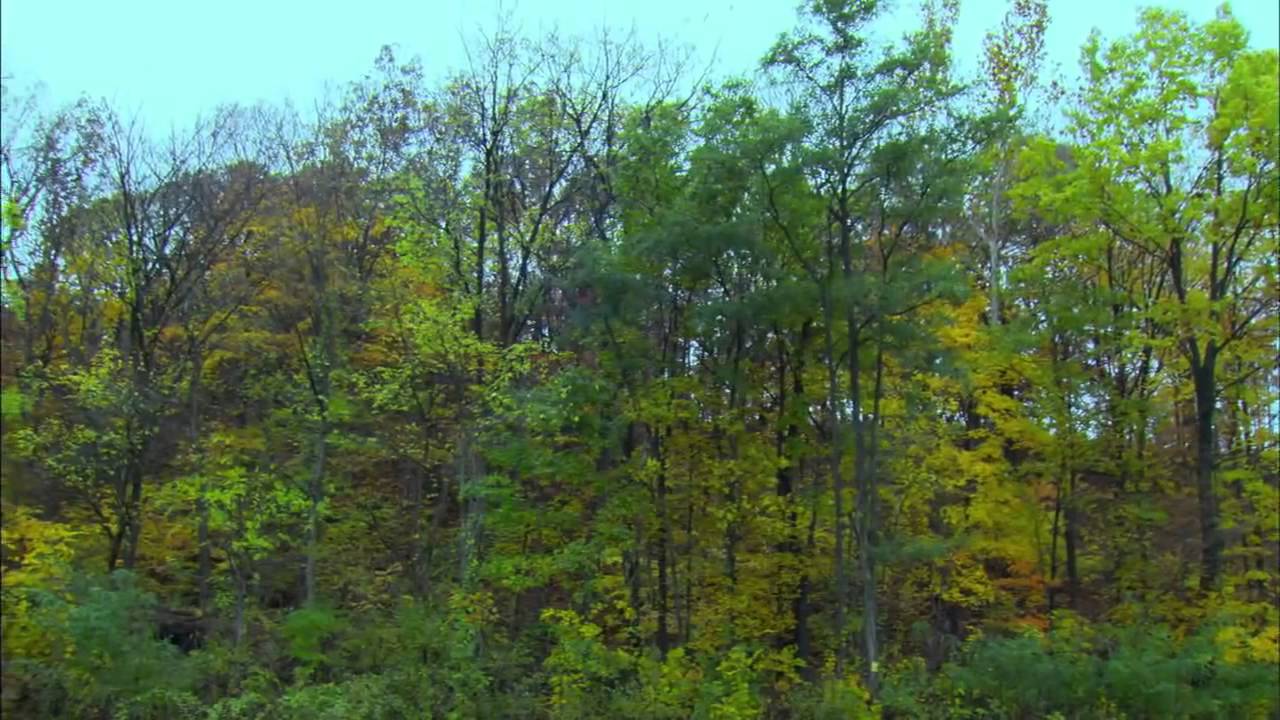 Nature Colors with the Worlds Greatest