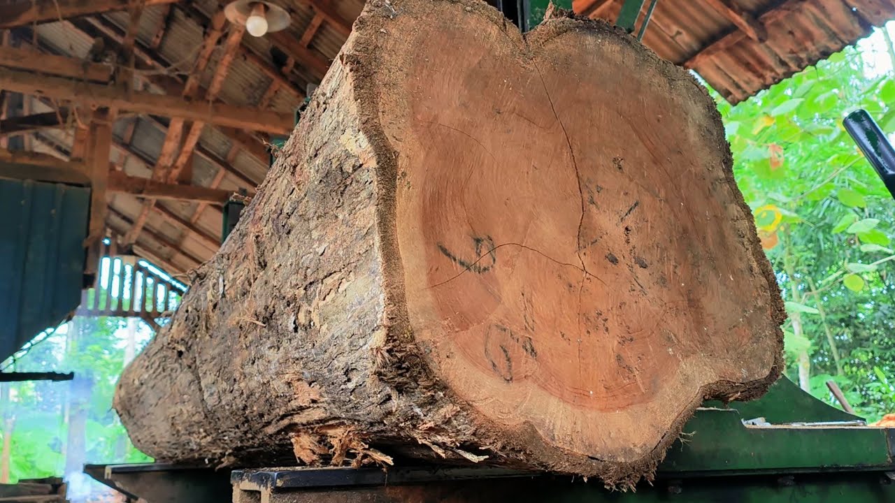 SOLD AT A HIGH PRICE, BEAUTIFUL TEAK WOOD Slabs 
