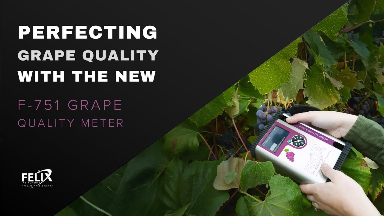 Perfecting Grape Quality with the new F-751 Grape Quality Meter From Felix Instruments