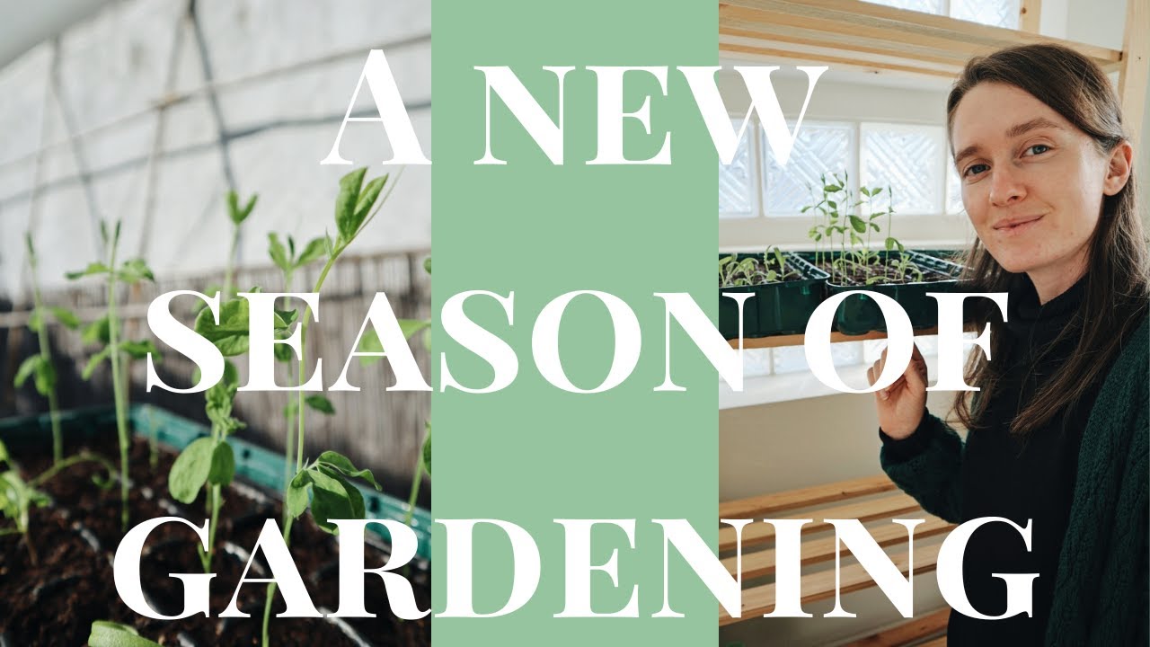Starting Seeds + A New Family Member