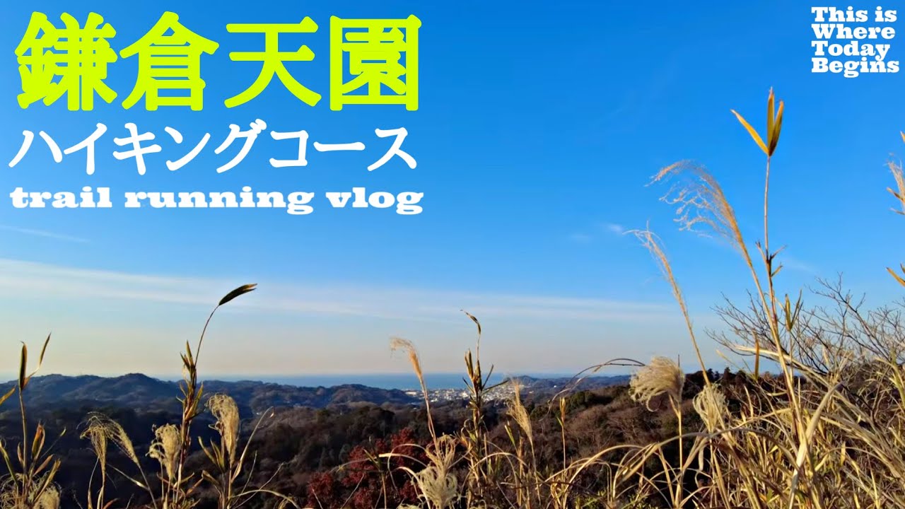 鎌倉 天園ハイキングコースをトレイルラン　chapter1