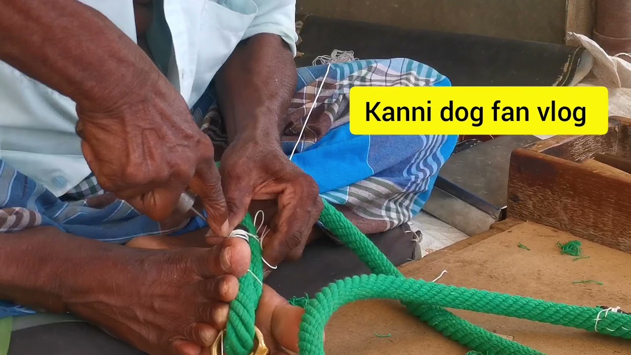 பெரிய நாய்களுக்கும், பந்தைய மாடுகளுக்கும் நடை கயிரு பின்னுதல் |walking  ropes for Big Dogs |