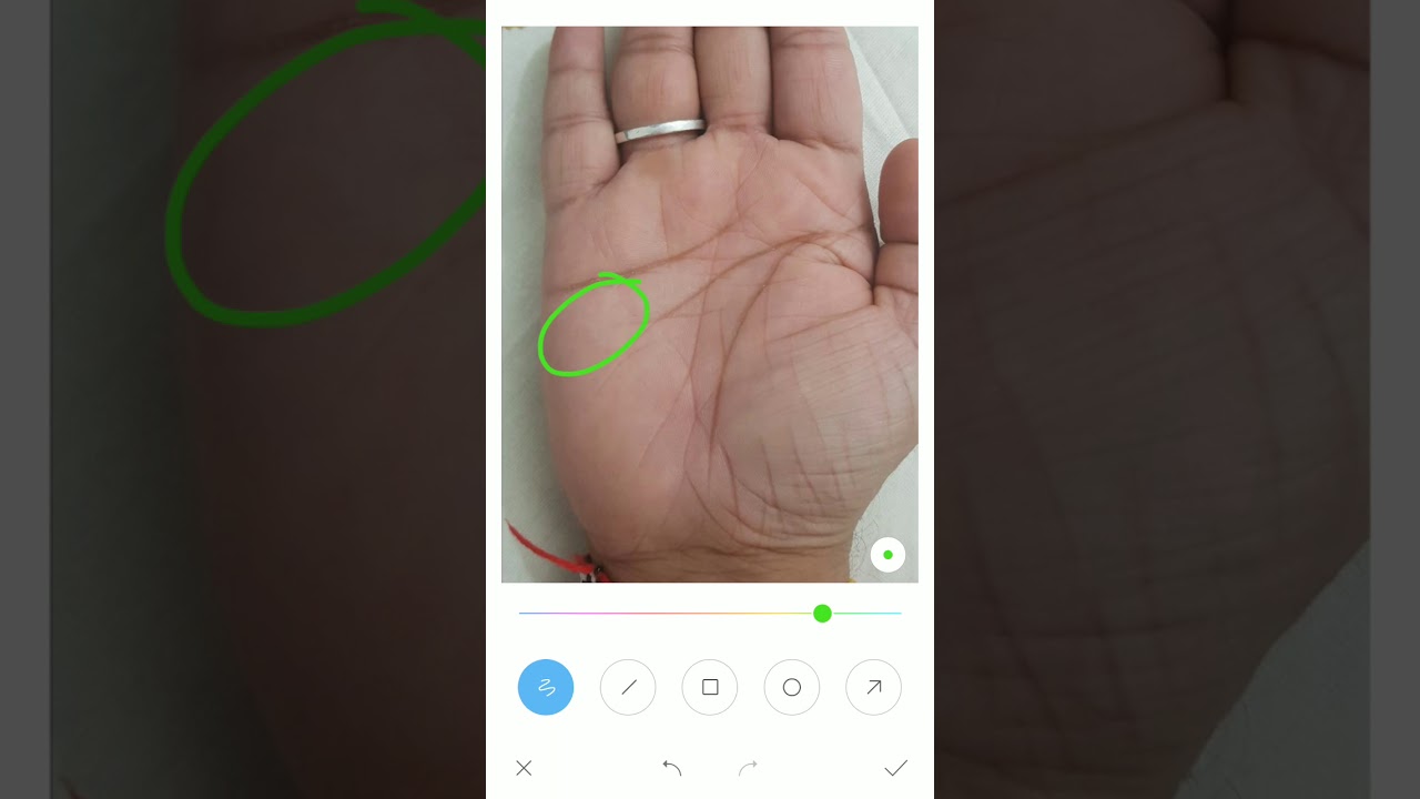 Political canection seen on palm,palmistry