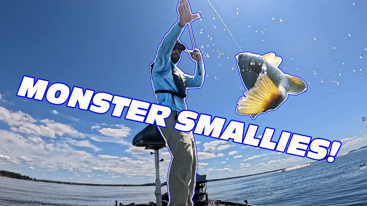 Smallmouth Bass. Where to start?