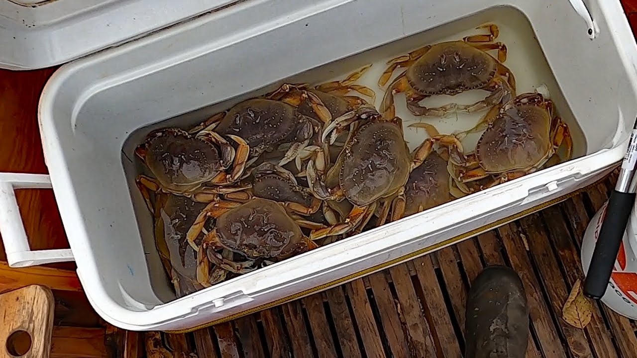 Crabbing in Netarts Bay