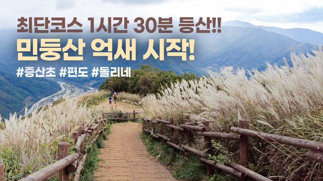 정선 민둥산 등산코스 최단코스 증산초 왕복 3시간! 억새는 이제 시작🎊
