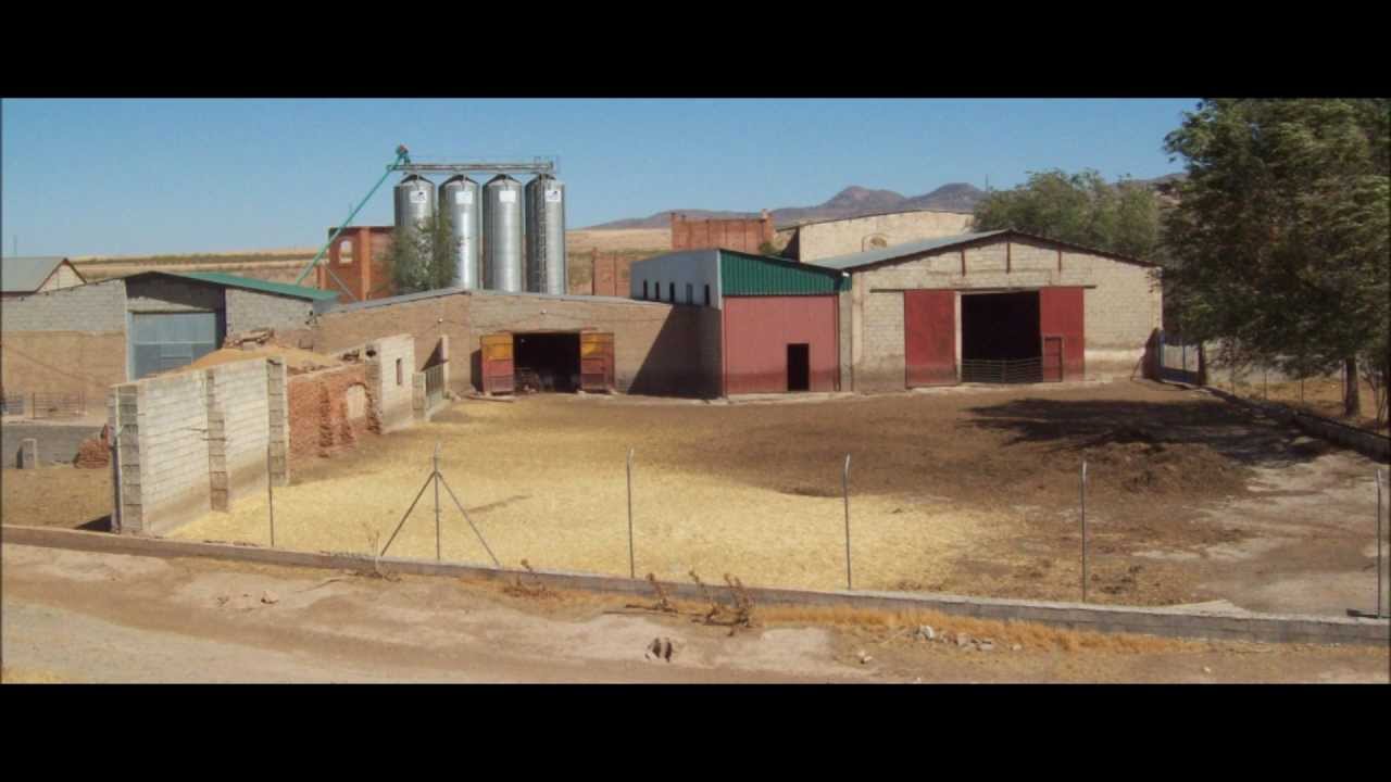 12-C'era una volta il western...FLAGSTONE\PHOENIX
