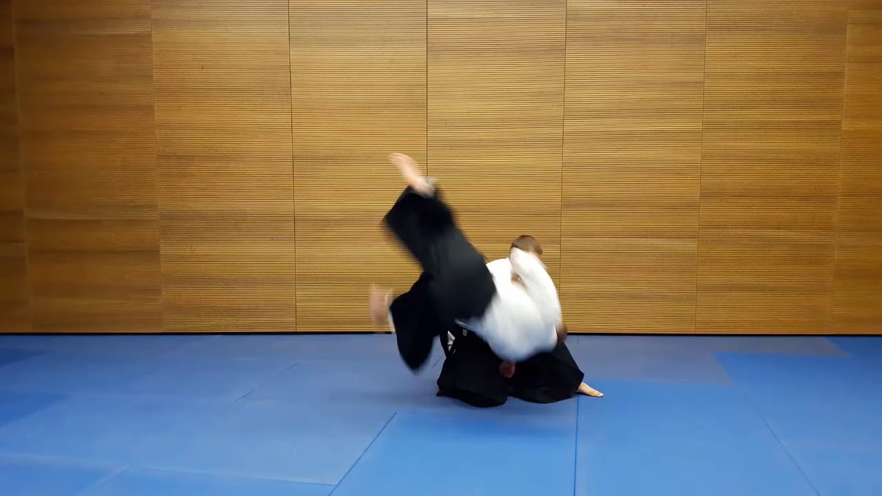 Tachi waza, Ryokata dori, Kokyu nage