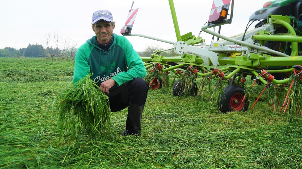 CLAAS VOLTO 800 | Jan Bjorland