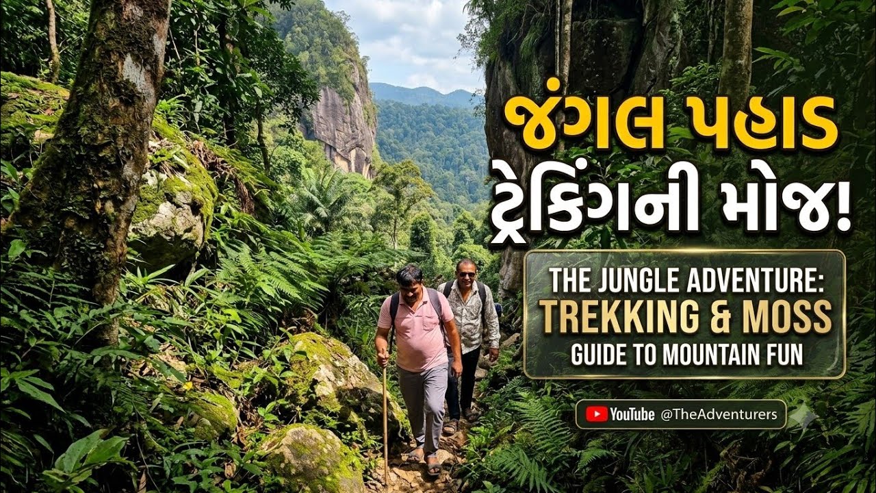 જંગલ પહાડ ઉપર ટ્રેકિંગ કરવાની મોજ! #trekking in jungle mountain #life story 