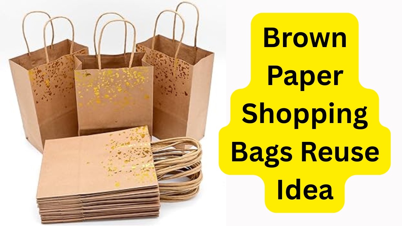 DIY-Brown Paper Shopping Bags Reuse Idea