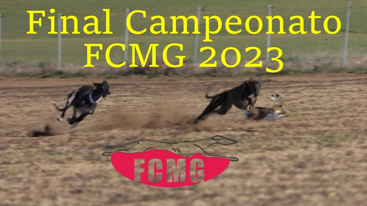 Final del provincial Federación Castilla la Mancha, 23 Diciembre 2023