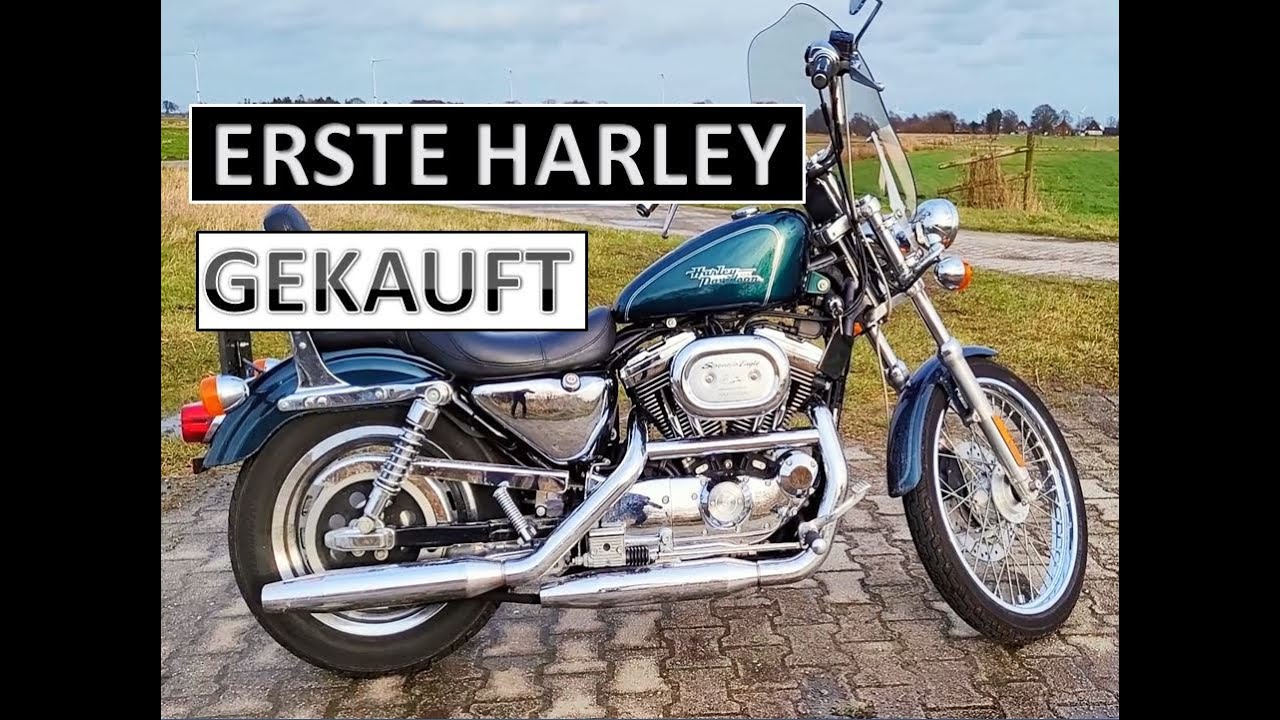 Ich habe mir eine HARLEY DAVIDSON Sportster 1200 C gekauft! | XL / 2