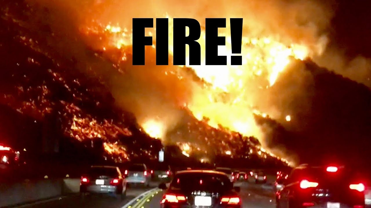 Trellis, Christmas Tree and FIRE!  // A Day in the Life of CaliKim #5
