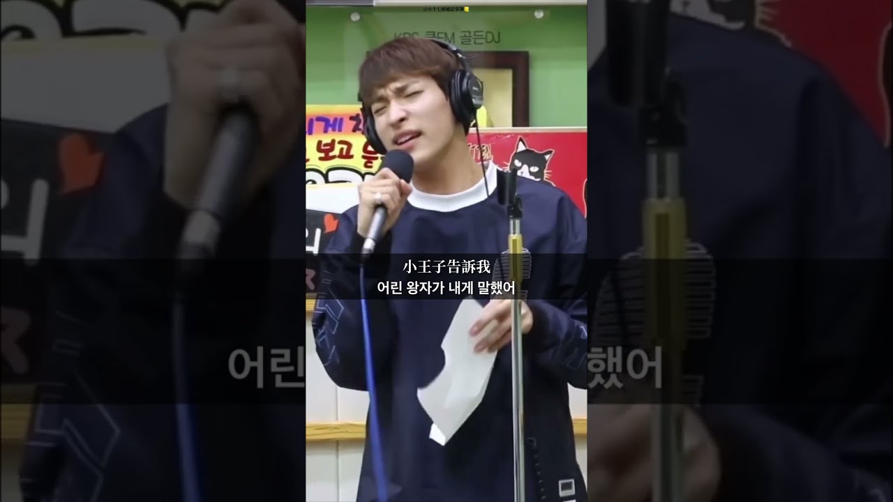 ♡道兼米療癒記事簿第21頁♡ -The little prince cover by DK - @svt._.healing