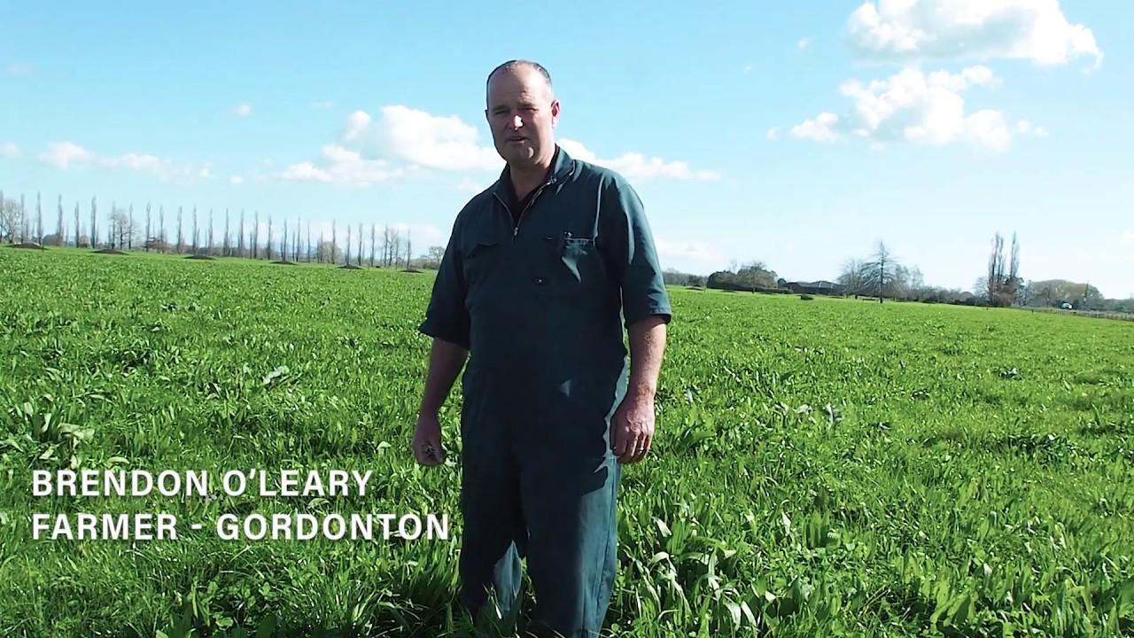 Farmer testimonial - Ecotain Environmental Plantain