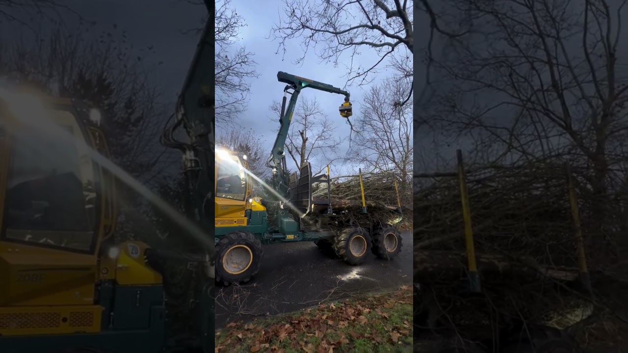 Safe and efficient tree work with an HSM 208F forwarder + Epsilon S110F crane and GMT035 #grapplesaw