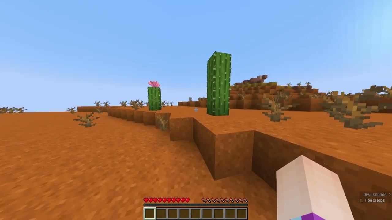 Minecraft Daily Archive 12.12.26 - A New World | Calm Long Form Survival (No Commentary)