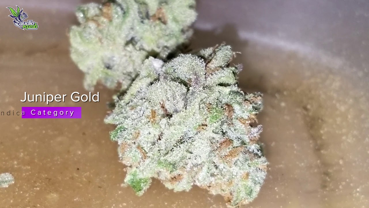 Viewing Entries at Supermarkt Coffeeshop &bull; Jack Herer Cup Amsterdam 2020