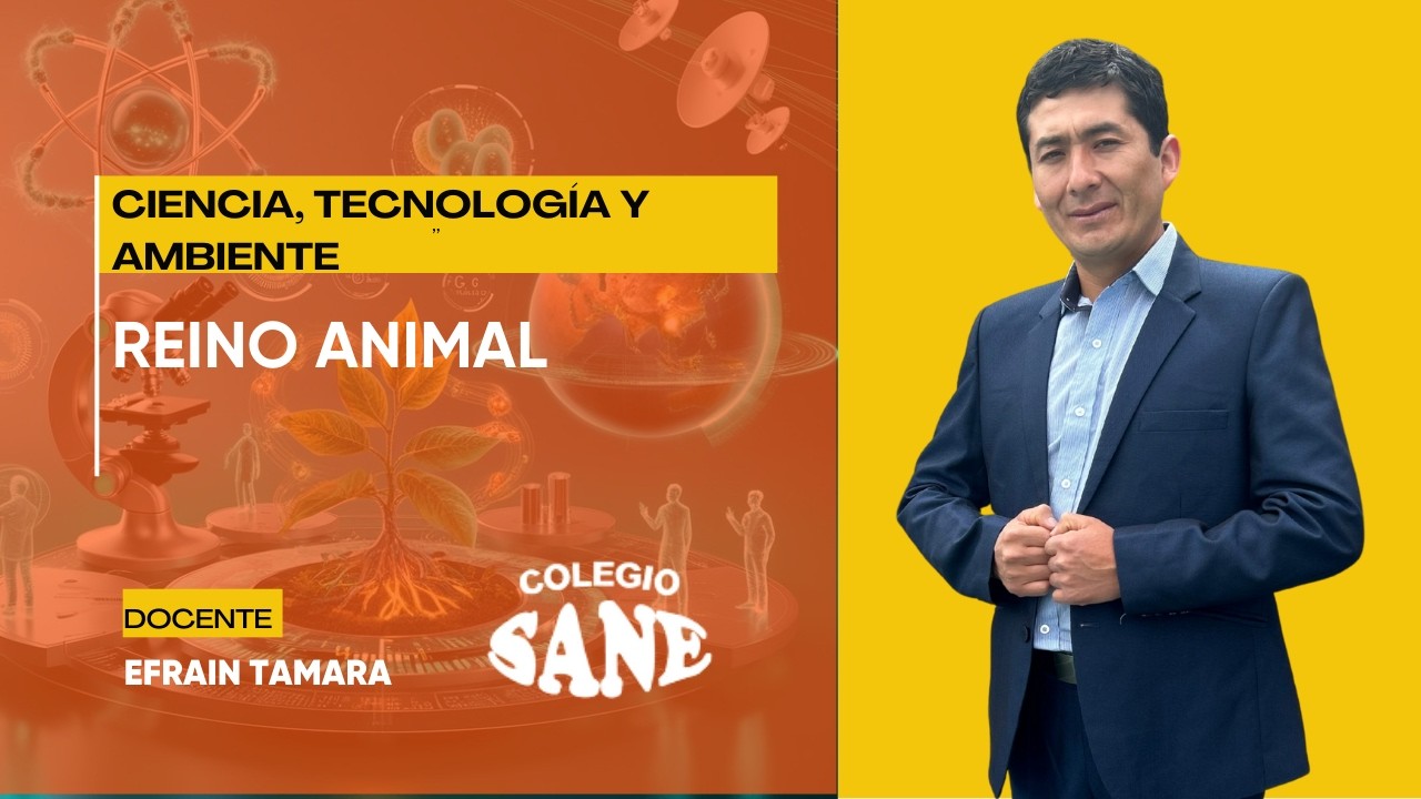 CTA / REINO ANIMAL / 1º III BIM / 22 - 02