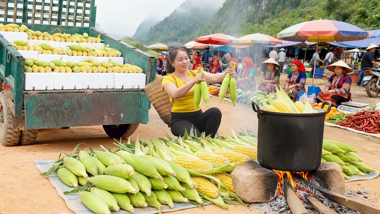Harvesting 1000+ Corn, Use Truck Transport Many Corn Go To Market Sell - Boiled Corn And Sell