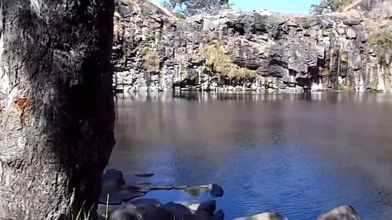 Swimming with a snake at Turpins Falls, Victoria