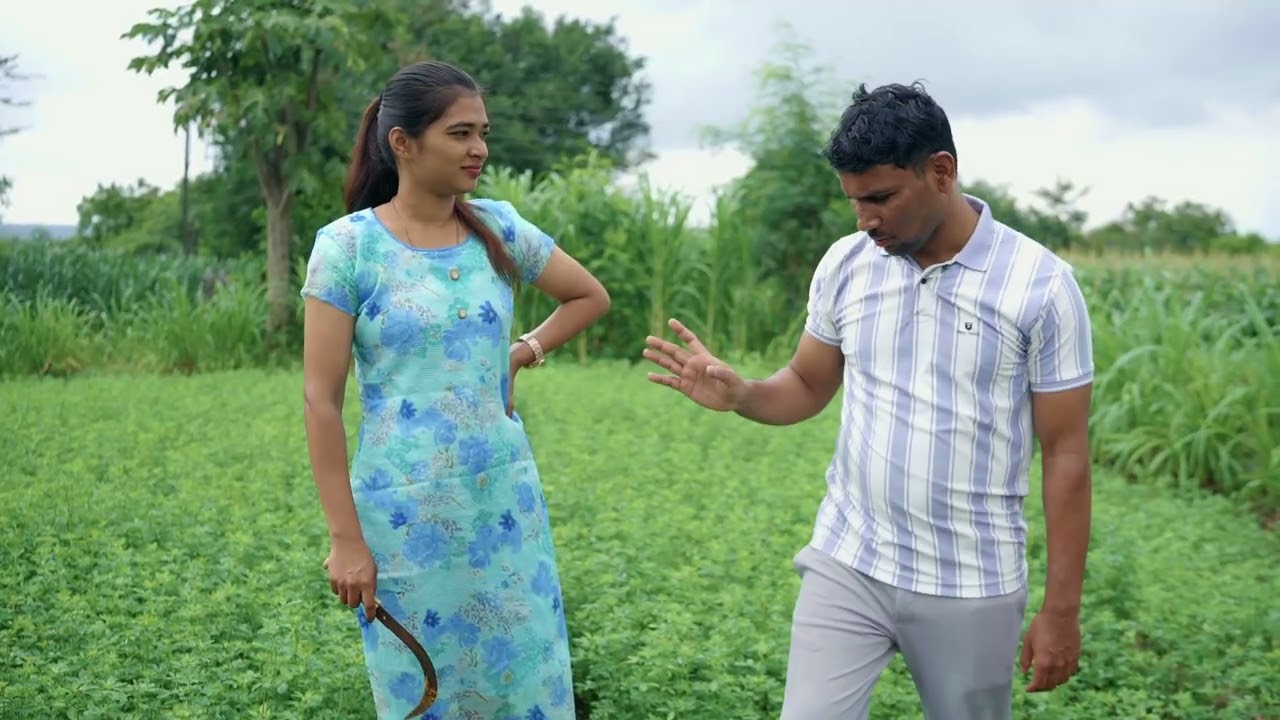 मामाच्या