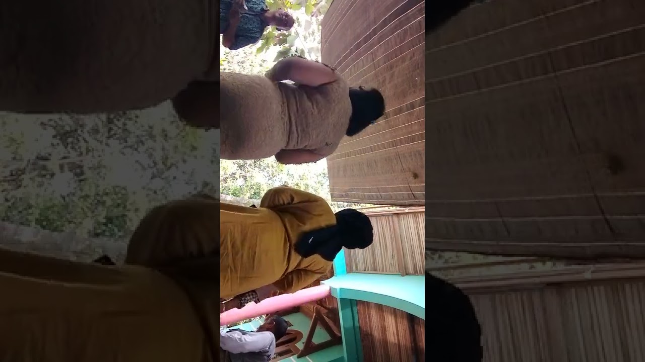 pemuda idaman , nafisa nada