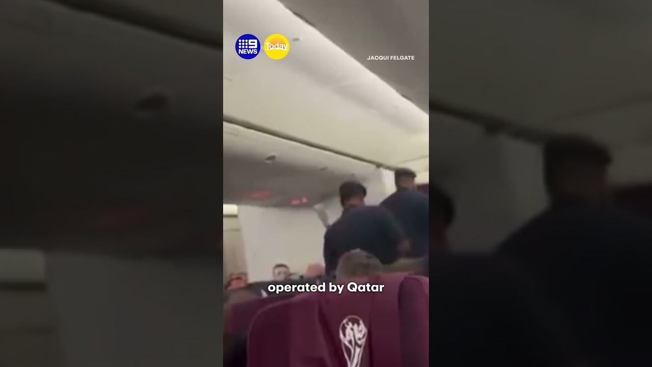 Witnesses claim the pair headbutted flight attendants | 9 News Australia