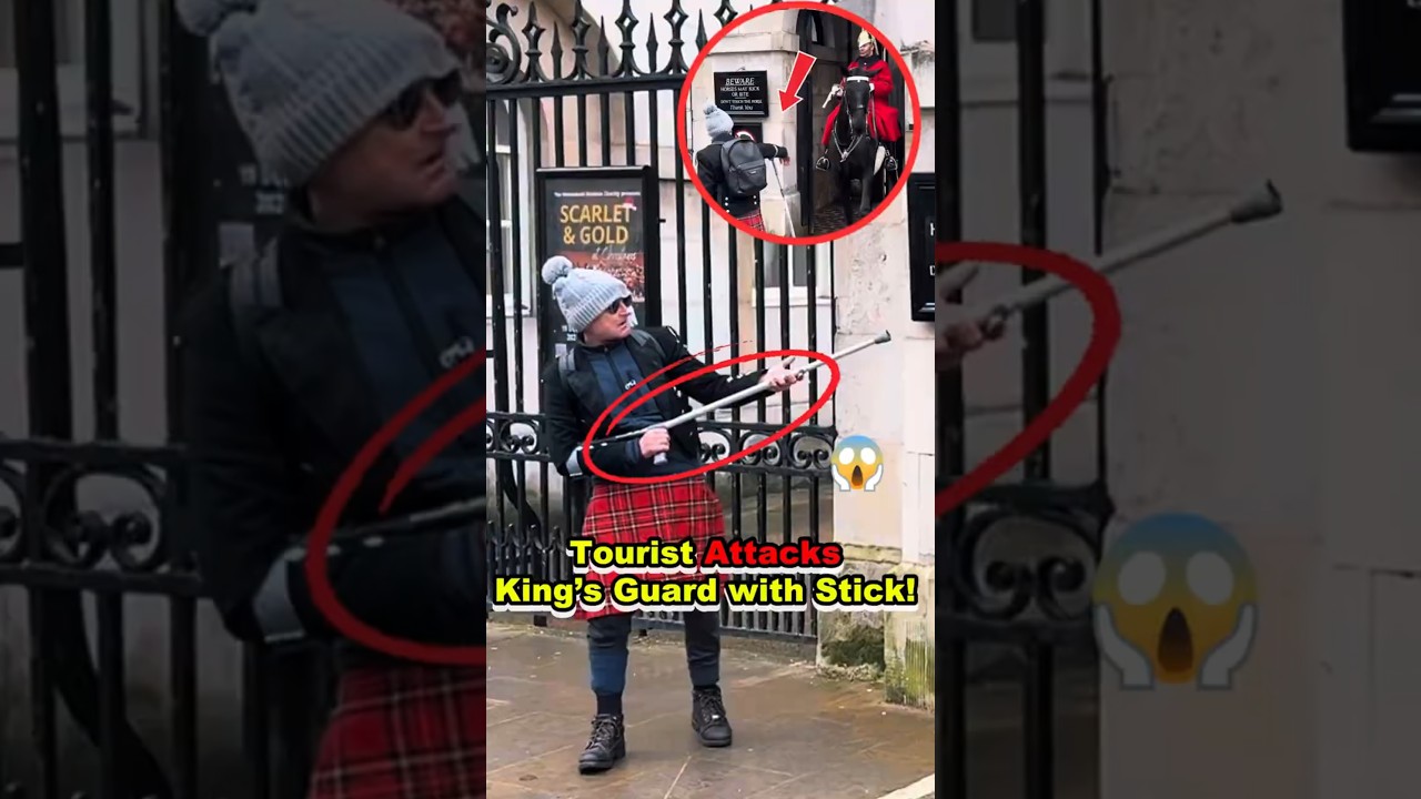 ⚠️ Shocking! Tourist Uses Stick to Attack King&rsquo;s Guard After Being Warned 😱