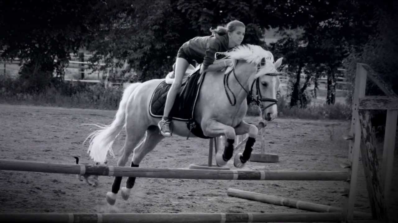 Goodbye Tino ♥