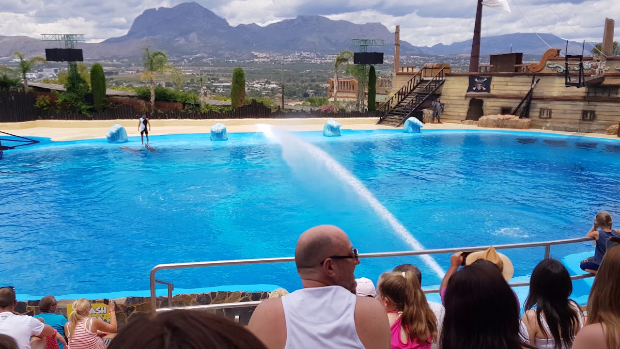 Mundomar 1°par delfines