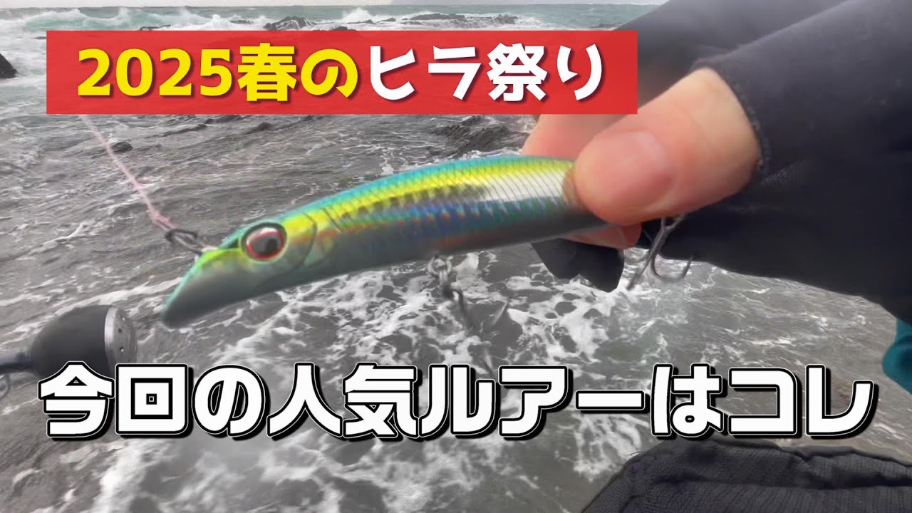 【地磯ヒラスズキ釣行】連発入れ食い！こんな日はもう来ない