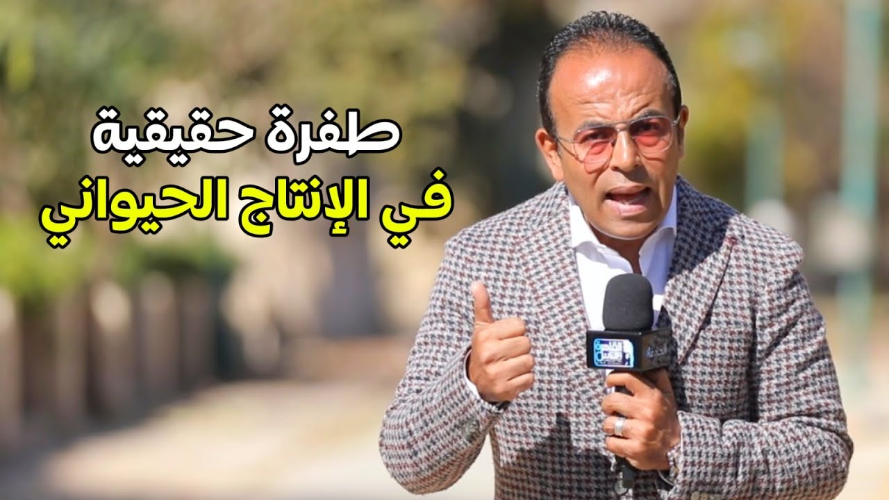 بالأرقام فقط.. طفرة حقيقية في مشروعات الإنتاج الحيواني المصري