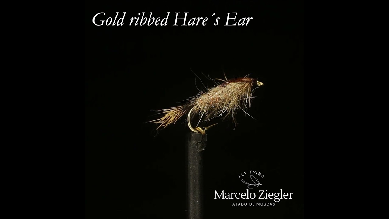 GRHE Nymph