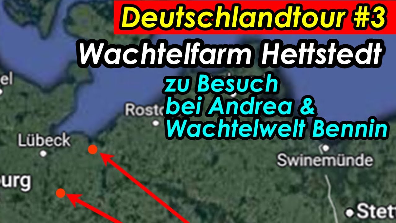 Wachtelfarm Hettstedt auf Deutschlandtour #3 - Zu Besuch bei Andrea & KLEINE Wachtelwelt Bennin
