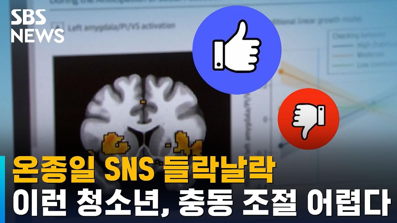 온종일 SNS 들락날락&hellip;이런 청소년, 충동 조절 어렵다 / SBS