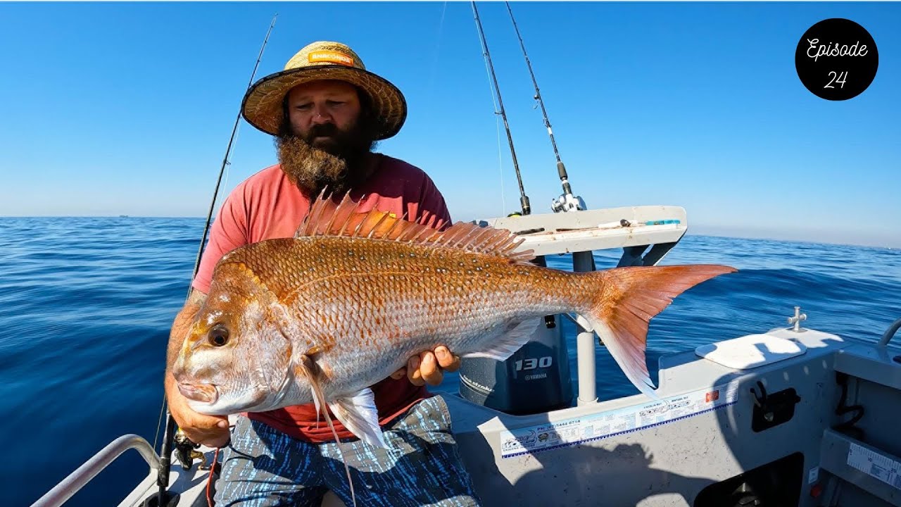 STONKA Mooloolaba SNAPPER plus GRASSY SWEETLIP and more!